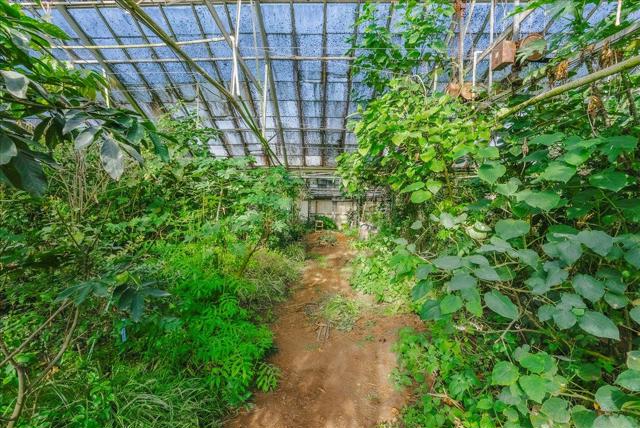 371 Calabasas Road, Watsonville CA: https://media.crmls.org/mediaz/550388eb-0e71-4974-9476-2ffb0c0180fe.jpg