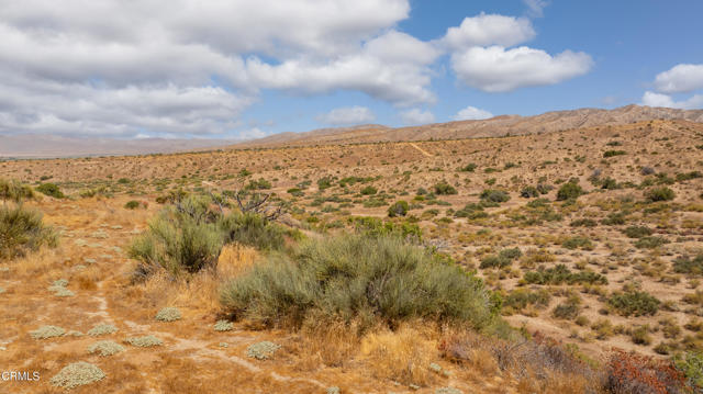 Detail Gallery Image 5 of 15 For 0 Hwy 33, Unincorporated,  CA 93252 - – Beds | – Baths