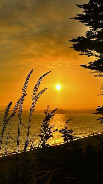 315 Seascape Resort Drive, Aptos CA: https://media.crmls.org/mediaz/550fbe37-1a46-46e2-a05c-51499979d381.jpg