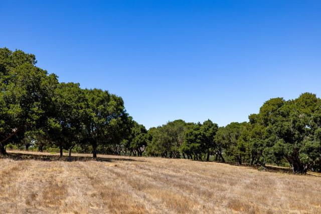 8160 Manjares, Monterey CA: https://media.crmls.org/mediaz/553c9888-a629-4cc7-9250-53c9ee563826.jpg