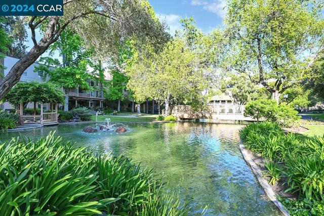 490 N Civic Drive, Walnut Creek CA: https://media.crmls.org/mediaz/5543aa7a-13a4-4976-b022-32fa2c9cf0b2.jpg