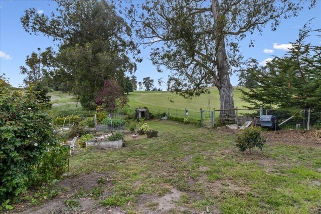 71 Spring Road, Royal Oaks CA: https://media.crmls.org/mediaz/5550e13f-1806-4aa1-bfcc-3986c047d0b7.jpg