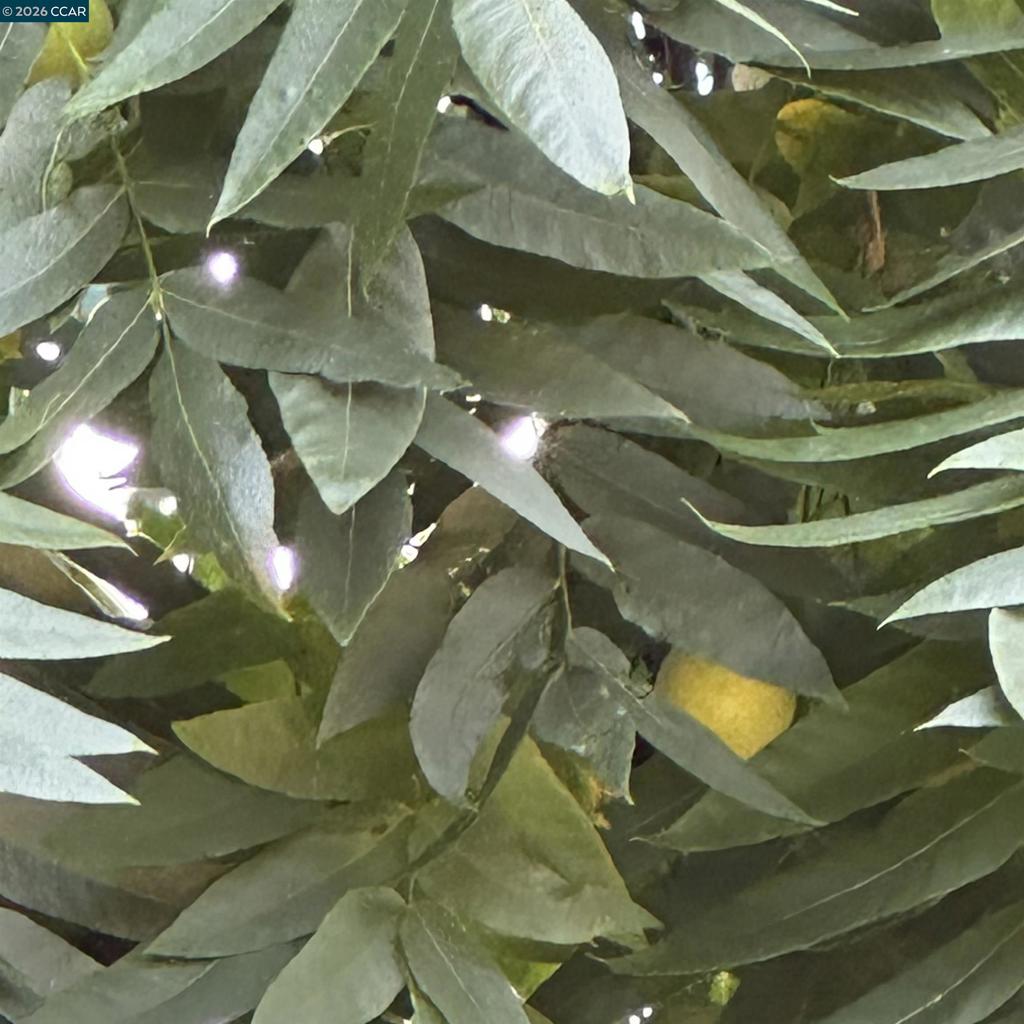 https://media.crmls.org/mediaz/55572647-f616-41e5-a46b-31456528b04e.jpg?preset=X-Large