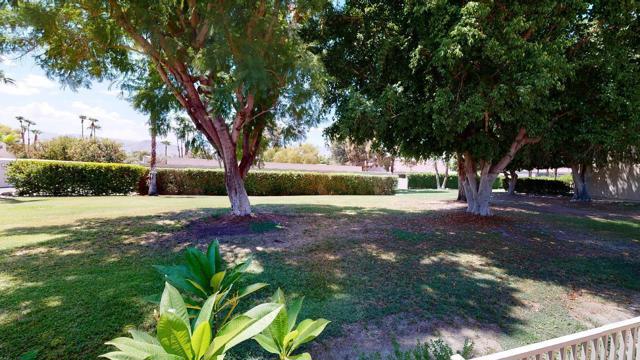 343 Forest Hills Drive, Rancho Mirage, CA 92270