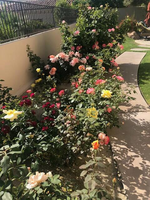 49240 Jfk Trail, Palm Desert CA: https://media.crmls.org/mediaz/556832e0-cb51-48b5-aa48-d607da881c07.jpg