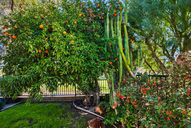 Image 29 of 43 For 49530 Lincoln Drive