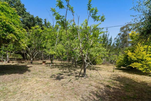 739 Snyder Avenue, Aromas CA: https://media.crmls.org/mediaz/556abfde-14bc-4619-b689-4ae7c6211677.jpg