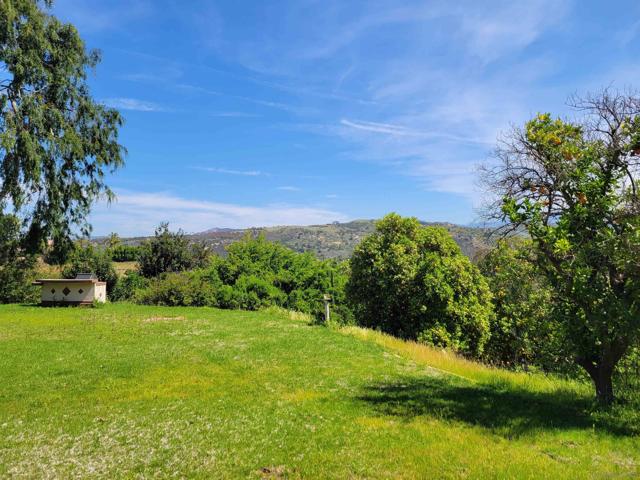 9740 Nutby Ln, Escondido CA: https://media.crmls.org/mediaz/556d34a1-f7d0-4cf4-a0a3-8f1cc7ee84ae.jpg