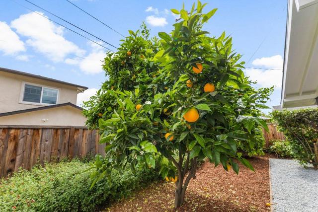 385 Cronin Drive, Santa Clara CA: https://media.crmls.org/mediaz/556d638f-9d6c-4aa6-ba96-b04e2911c333.jpg