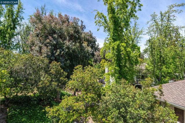 1560 Gilboa Dr, Walnut Creek CA: https://media.crmls.org/mediaz/55706f71-d8c1-485e-99fc-670da84fc922.jpg