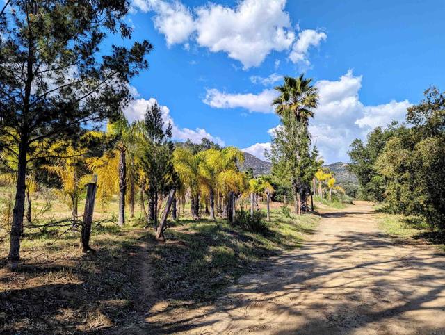 41822 De Luz, Fallbrook, California 92028, ,Residential Land,For Sale,De Luz,NDP2405719