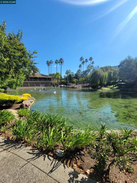 310 N Civic Dr., Walnut Creek CA: https://media.crmls.org/mediaz/557ada49-5430-4e45-a133-7f95bfdc600e.jpg