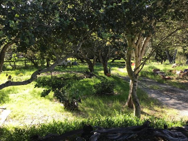 6967 Valle Pacifico Road, Salinas CA: https://media.crmls.org/mediaz/557bbeb4-4ff2-4d65-8d72-6262aabc43d7.jpg