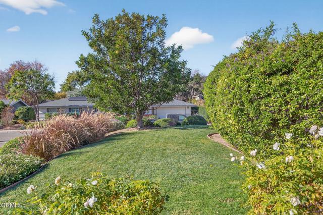 Detail Gallery Image 5 of 51 For 914 Patricia Ct, Ojai,  CA 93023 - 3 Beds | 3 Baths