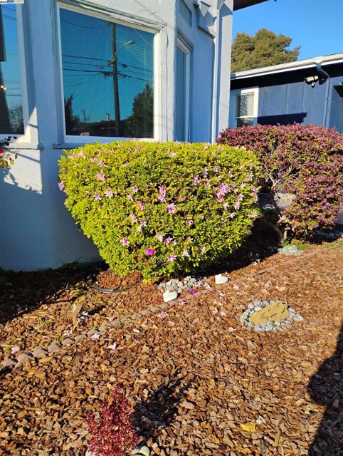 2621 66th Avenue, Oakland CA: https://media.crmls.org/mediaz/558a525a-7b75-45be-86be-833510b854e1.jpg