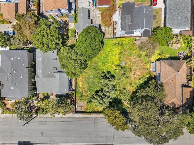 310 Spruce St, Alameda CA: https://media.crmls.org/mediaz/55928fa9-d15a-4074-93ea-4ba6e924951e.jpg