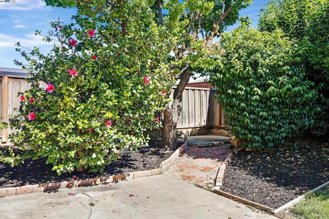36560 Lakewood Dr, Newark CA: https://media.crmls.org/mediaz/559e03e0-1be9-4c80-bc1e-e854f27c9d79.jpg
