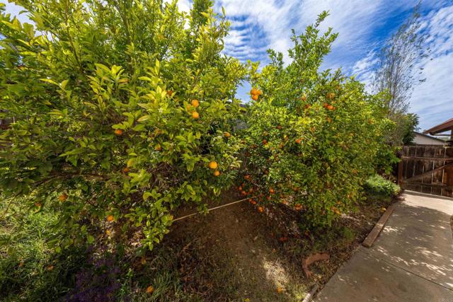 Detail Gallery Image 24 of 25 For 1367 Heritage Ct, Escondido,  CA 92027 - 3 Beds | 2 Baths