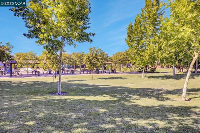 330 Pacifica Dr, Brentwood CA: https://media.crmls.org/mediaz/55bd797a-508b-4f3b-8dfb-131c3a6484c7.jpg