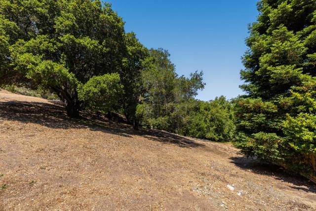 0 Eugenia, Hillsborough CA: https://media.crmls.org/mediaz/55bdc4c5-1be7-474f-86b5-cc187bf0d1d6.jpg