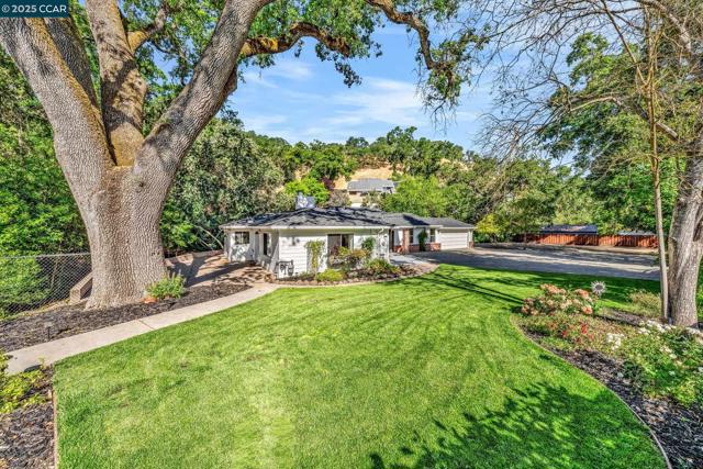 205 Castle Hill Ranch Rd, Walnut Creek CA: https://media.crmls.org/mediaz/55c8d130-ad36-4381-968d-0644bdbccf92.jpg