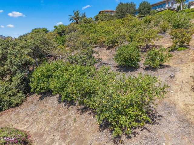 0 View Drive, Santa Paula CA: https://media.crmls.org/mediaz/55c90668-937f-41af-a8fe-588fbbff71e5.jpg