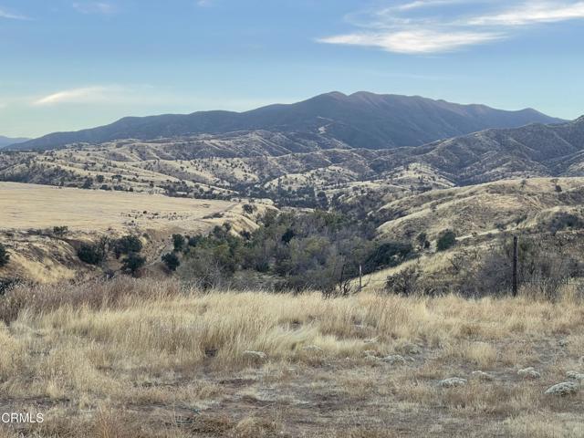 Detail Gallery Image 14 of 21 For 7451 Foothill Rd, –,  CA 93254 - – Beds | – Baths