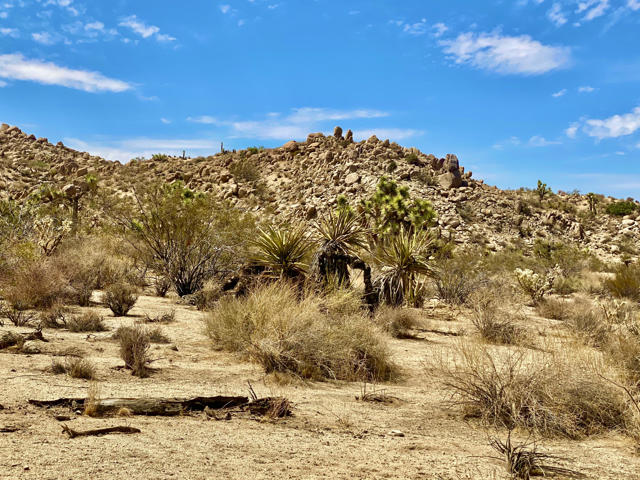 104 Bandera Road, Yucca Valley CA: https://media.crmls.org/mediaz/55cf43d6-10c9-4d71-8d48-bbb4559ccbbd.jpg