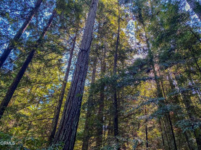 0 Irmulco Road, Willits CA: https://media.crmls.org/mediaz/55d2dacc-4240-4a49-8967-774236bd88f8.jpg