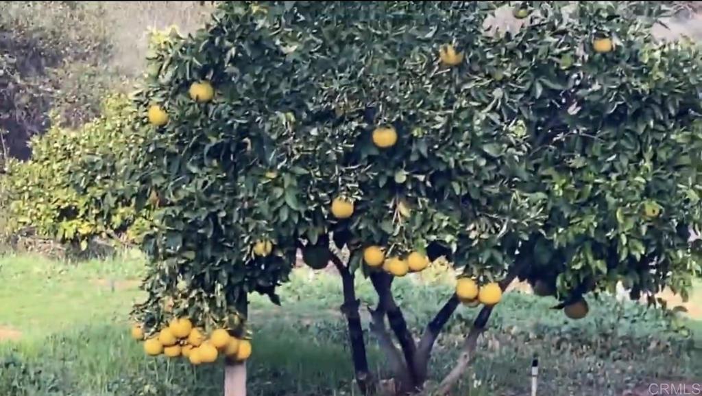 MLS #NDP2410465 image #12