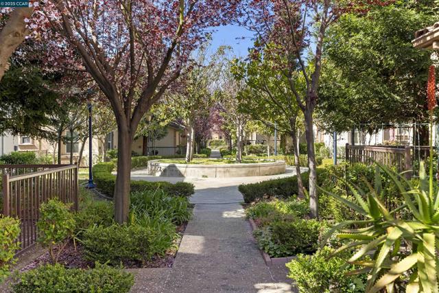 113 Carmel St, San Pablo CA: https://media.crmls.org/mediaz/55dbf922-5c71-4ebd-9f4e-5023d850e15d.jpg