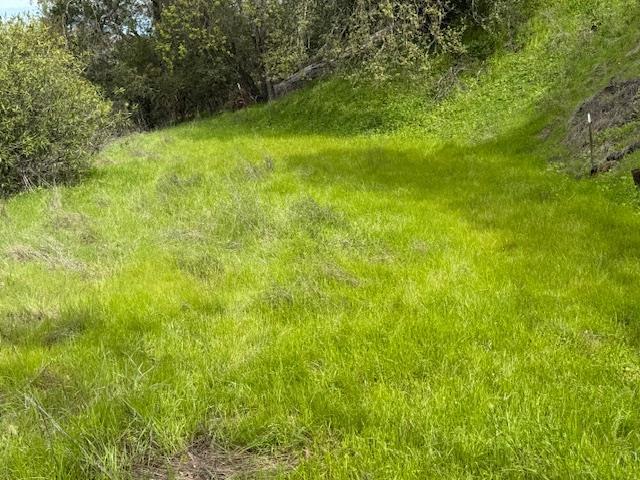 11 Little Uvas Road, Morgan Hill CA: https://media.crmls.org/mediaz/55fa5c36-9e44-4ccc-8d0c-cc5de9327fd4.jpg