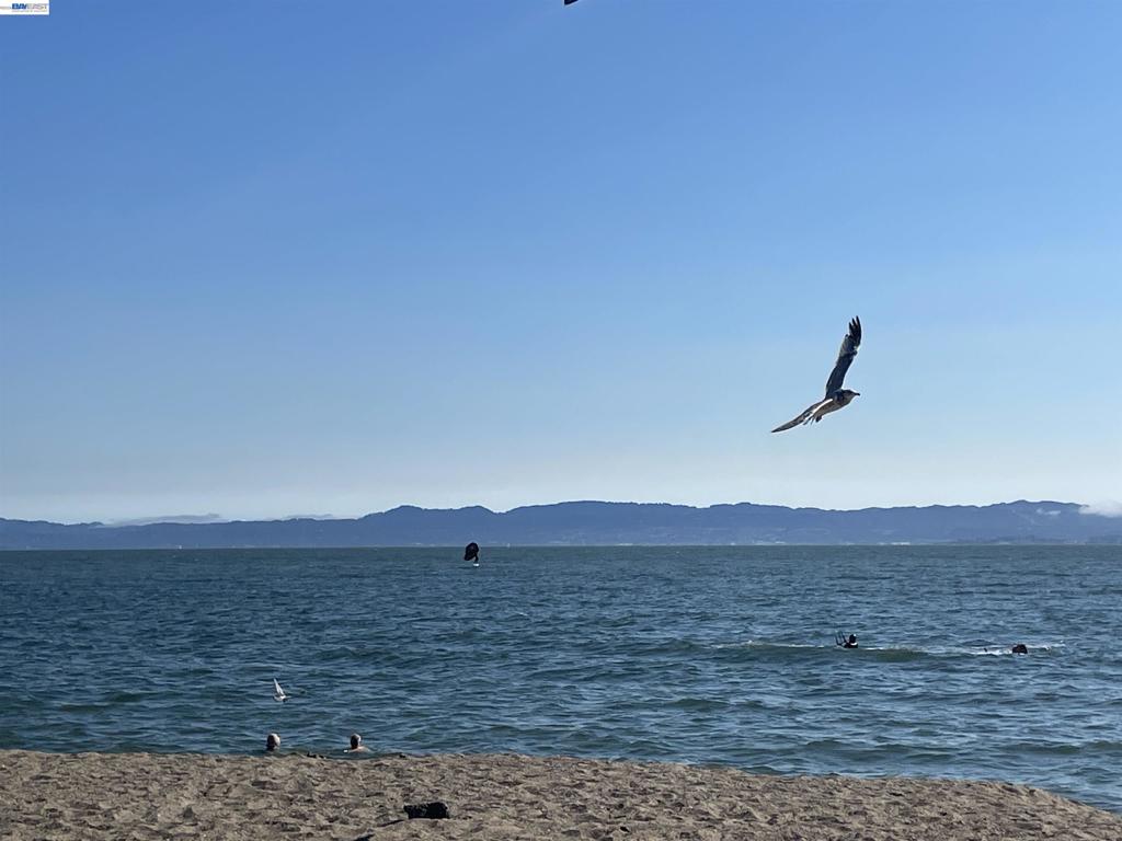 https://media.crmls.org/mediaz/56039fc6-4f8f-4b61-8be2-13f604591e8b.jpg?preset=X-Large
