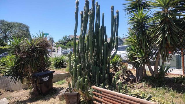 1135 41 26th Street, San Diego CA: https://media.crmls.org/mediaz/560822ba-23e2-4098-85a1-6930c5fb3990.jpg