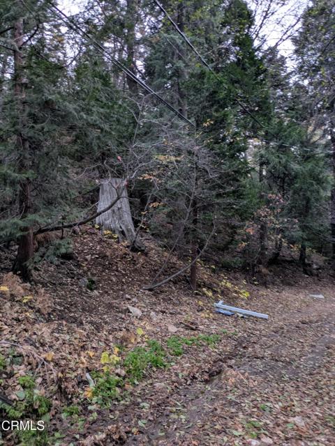 Detail Gallery Image 7 of 14 For 0 Fleming Creek, Lake Arrowhead,  CA 92352 - – Beds | – Baths