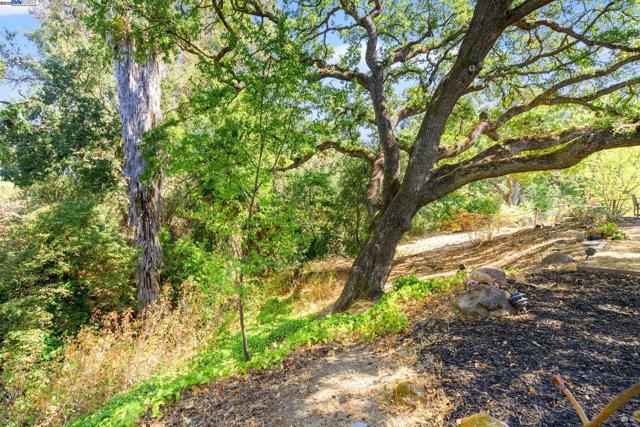 1890 Morello Ave, Pleasant Hill CA: https://media.crmls.org/mediaz/560a5da3-9138-4226-bbf6-2043ba3b7296.jpg