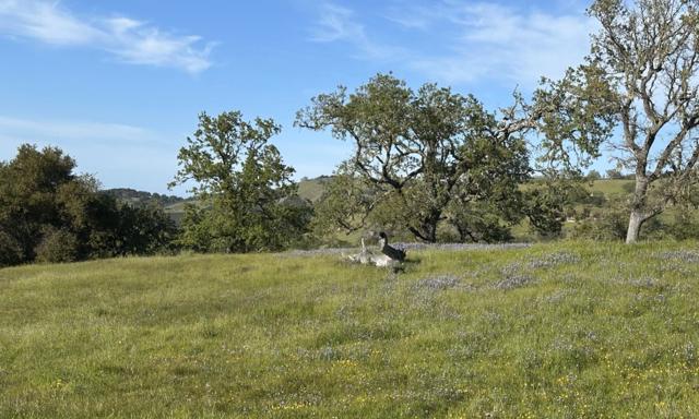 8 Touche, Carmel CA: https://media.crmls.org/mediaz/560be327-f893-4f6a-8ded-1bbaa25f810d.jpg