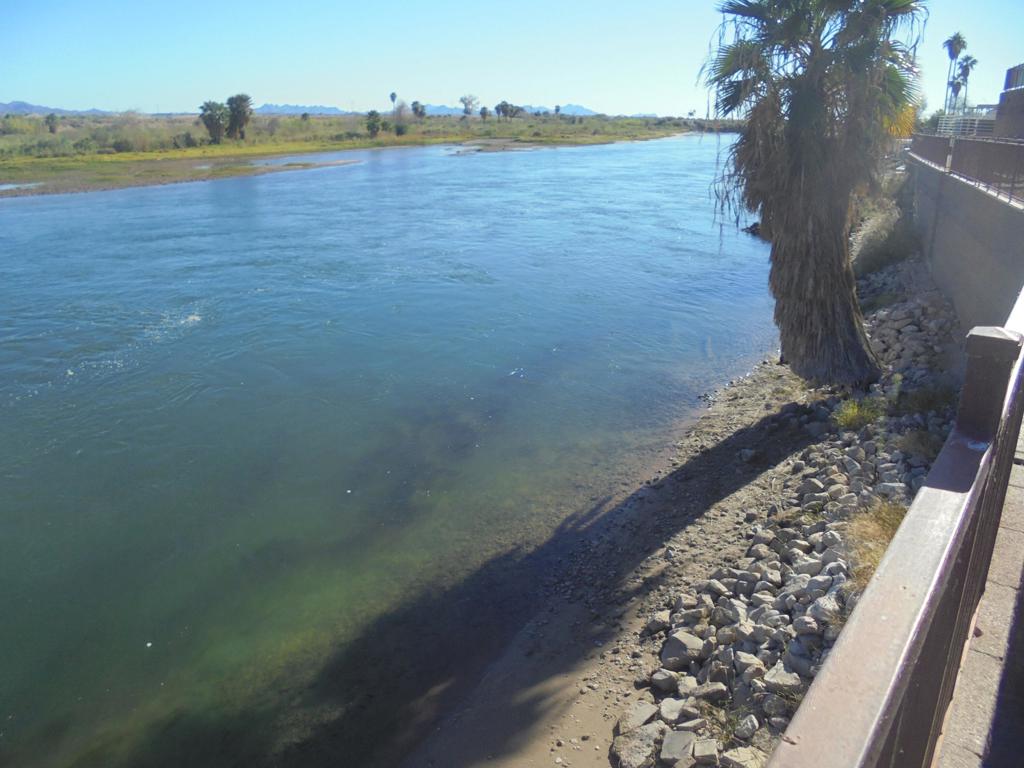 MLS #219138296DA image #7