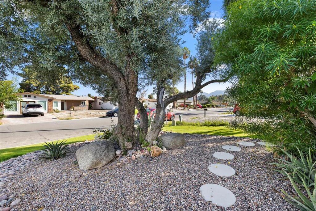 MLS #219139220DA image #8