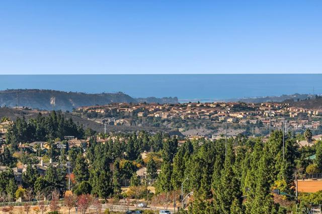 1168 Westin Way, San Marcos CA: https://media.crmls.org/mediaz/56138dee-f06e-43f2-b454-071c012c735a.jpg