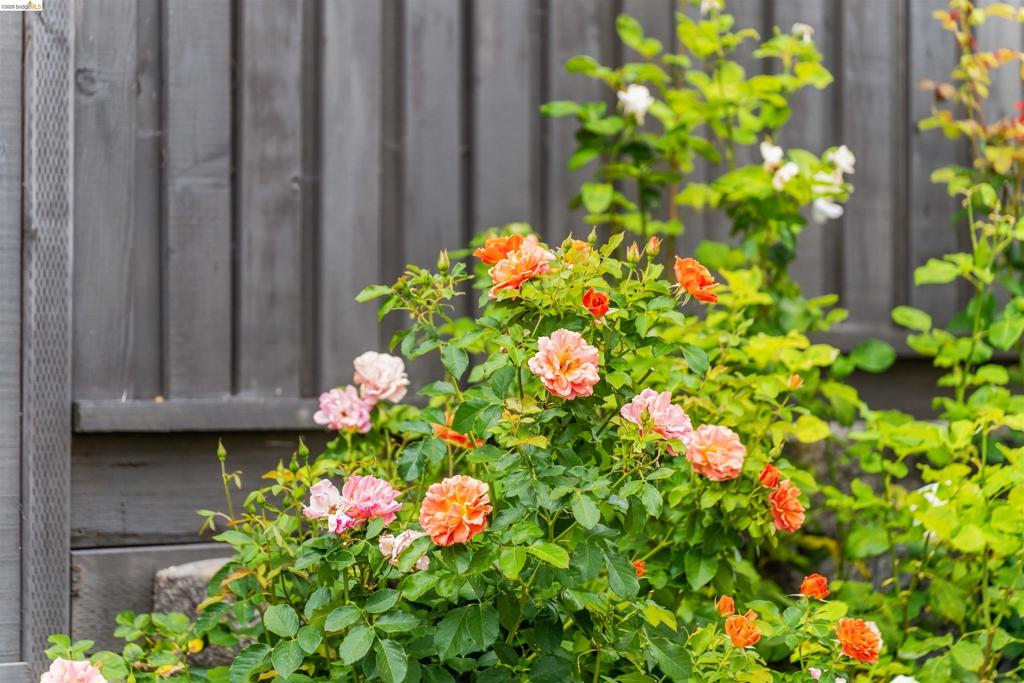 https://media.crmls.org/mediaz/5618f91d-a3a6-4364-8fc4-1aa552c769f7.jpg?preset=X-Large