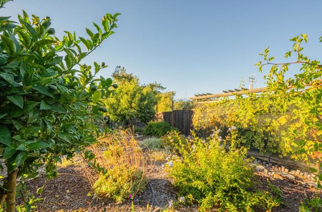 22720 Picador Drive, Salinas CA: https://media.crmls.org/mediaz/561d0ba9-1d1c-48a0-a9c8-9854e34f13f5.jpg