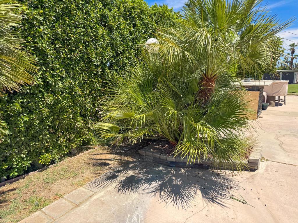 MLS #219133248DA image #6