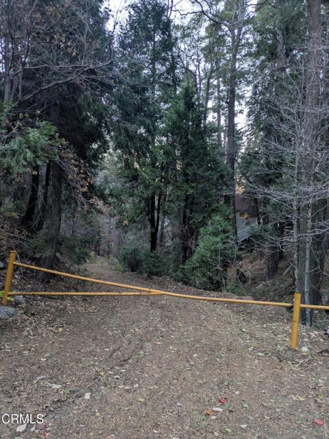 Detail Gallery Image 13 of 14 For 0 Fleming Creek, Lake Arrowhead,  CA 92352 - – Beds | – Baths