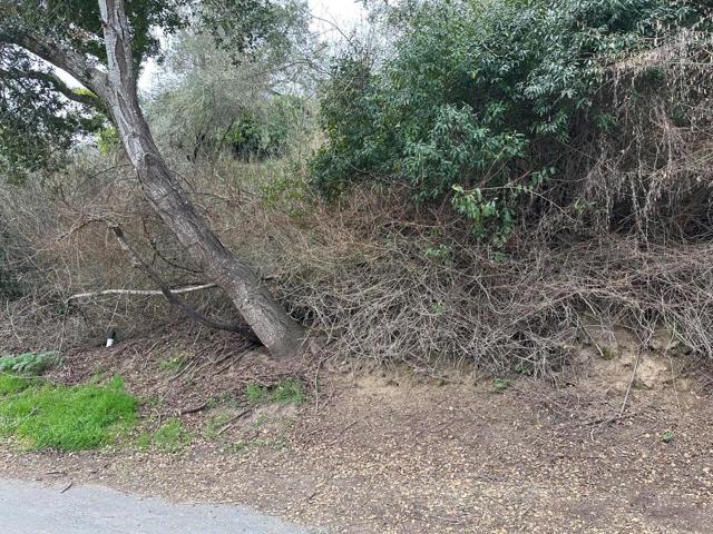 0 Encino Drive, Aptos CA: https://media.crmls.org/mediaz/562cb69e-e2f3-42d5-af2a-14ad978144a7.jpg