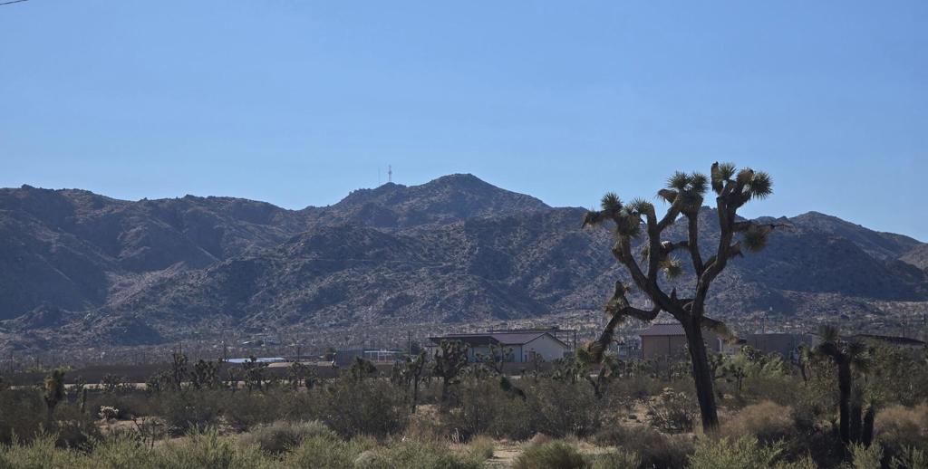 MLS #219137281DA image #7