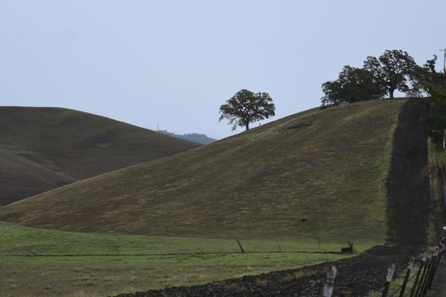 Image 1 of 23 For 1700 Finley Road