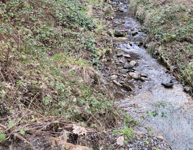 3179 Independence Road, Mokelumne Hill CA: https://media.crmls.org/mediaz/563cd49d-af14-4f00-8707-5967994f646e.jpg