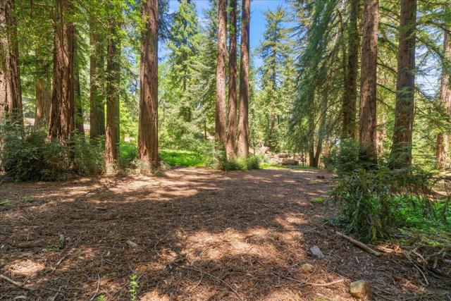 0 Grove Street, Los Gatos CA: https://media.crmls.org/mediaz/564b575c-1be2-4c5f-8b79-843c8a2f8a0a.jpg