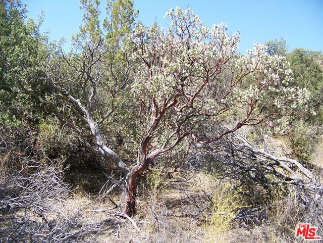 0 Apn 147-080-005, New Cuyama CA: https://media.crmls.org/mediaz/565318eb-8cb0-458e-b0a6-1032b4ca66a5.jpg